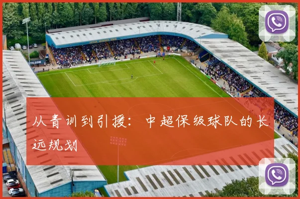 从青训到引援:中超保级球队的长远规划